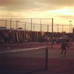 3/27/13 - Basha v. Chandler